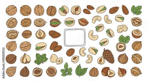 Collection of hand drawn nuts and seeds featuring walnuts, almonds, pistachios, hazelnuts, and forest leaves in a rustic sketch style.