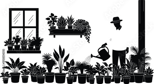 Indoor home gardening silhouette with houseplants collection, person watering potted plants near window and shelves, urban gardening, botanical decor and plant care concept.