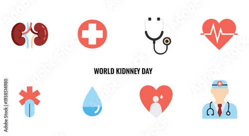 World kidney day symbols, kidney icon, medical cross, stethoscope, heartbeat