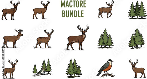 A collection of illustrations showcasing various wildlife animals, trees, and a bird from different viewpoints and environments in a bundle.