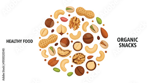 Healthy food and organic snacks concept with various types of nuts arranged in a circular shape for nutrition illustration.