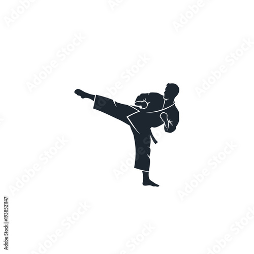 Silhouette of a martial artist performing a kick.