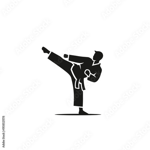 Silhouette of a martial artist performing a kick.
