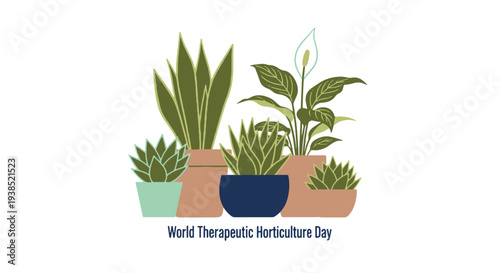 Collection of Potted Houseplants and Succulents in Various Decorative Containers Celebrating World Therapeutic Horticulture Day