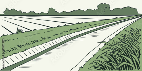 Aerial view of a large, empty, rectangular, outdoor swimming pool with water Vector