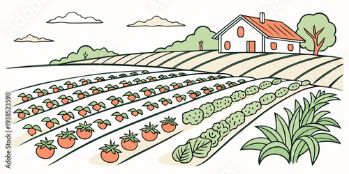 A picturesque view of terraced fields with a quaint house and lush greenery in the background Vector