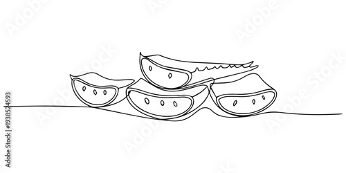 Aloe vera slices continuous one line drawing, Single continuous line drawing of healthy organic green aloe vera for cosmetic logo identity. Fresh tropical succulent plant concept agricultural icon. On