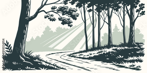 A serene and peaceful forest path leading to a distant, sunlit clearing. Vector