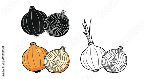 Various onion illustrations including a striking black silhouette