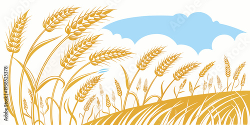 Golden wheat field under a clear blue sky with fluffy white clouds Vector