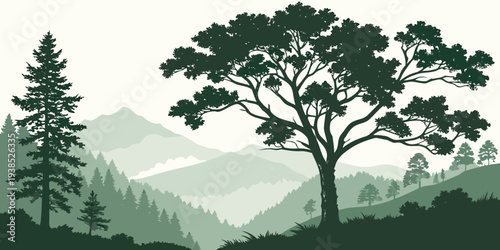 Majestic trees standing tall on a misty mountain peak overlooking a vast forest landscape. Vector