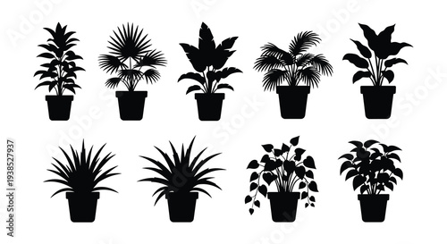 A collection of nine black silhouette illustrations depicting various potted indoor plants high quality professional detailed