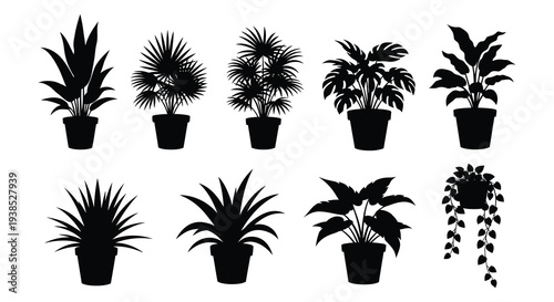 A collection of nine black silhouette illustrations depicting various potted indoor plants and foliage high quality