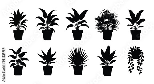 A collection of nine black silhouette illustrations depicting various potted indoor plants high quality professional detailed