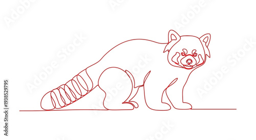 Red Panda Continuous Line Art Illustration on White Background