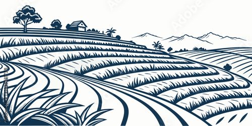 A serene landscape with rolling hills and a winding path in the distance Vector