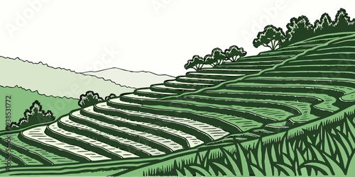 Aerial view of a terraced hillside with lush green vegetation and winding paths Vector