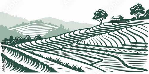 Aerial view of a vast agricultural field with terraced rows and mountains in the background. Vector