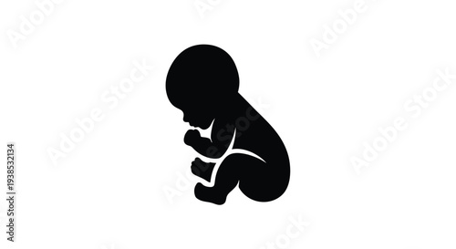 Fetal position of a baby in the womb a dark silhouette
