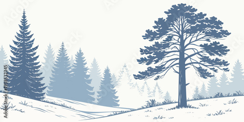 A serene winter landscape with tall pine trees covered in snow Vector