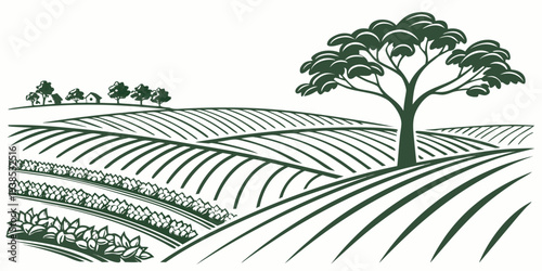 A serene landscape featuring a vast field with rows of crops and two solitary trees. Vector