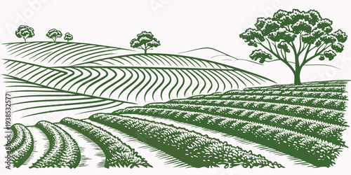 A serene landscape of rolling hills and lush green fields under a clear blue sky Vector