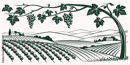 A picturesque vineyard with rows of grapevines and a tree in the background Vector