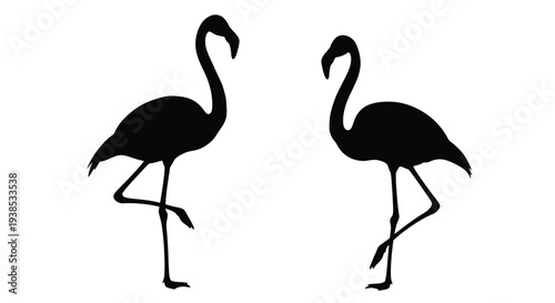 Two black flamingo shapes against a white background silhouette