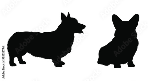 Two corgi dogs facing each other a striking black silhouette
