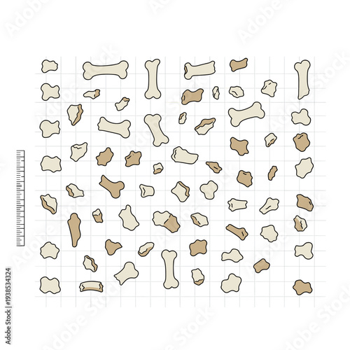 Illustration of various animal bone fragments and whole bones laid out on a grid for archaeological study.