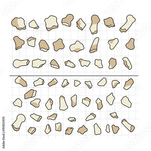 An overhead view of numerous small, irregularly shaped bone fragments or stones arranged on a grid background.