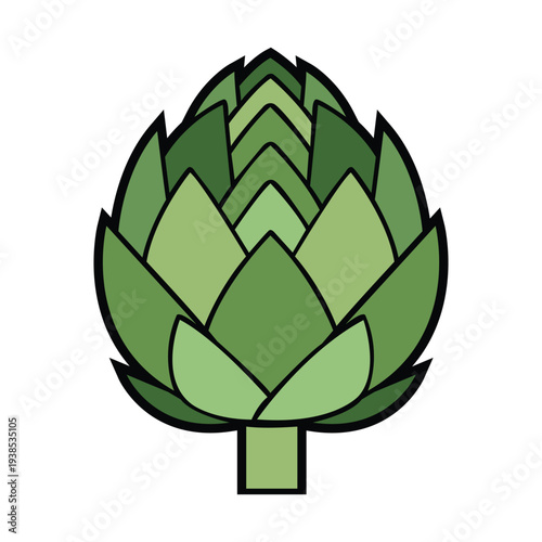 vector green artichoke isolated on white