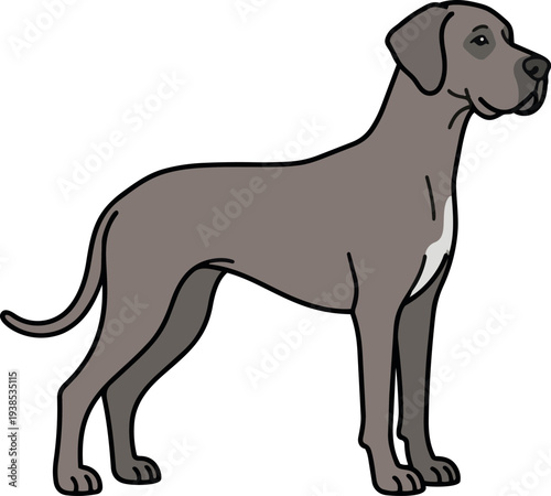 Flat line art side profile of gray short haired dog standing looking right with white chest patch clean vector illustration isolated