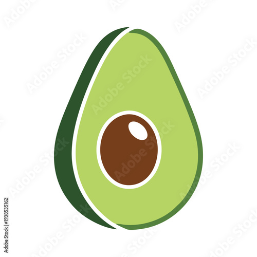 vector illustration of an avocado