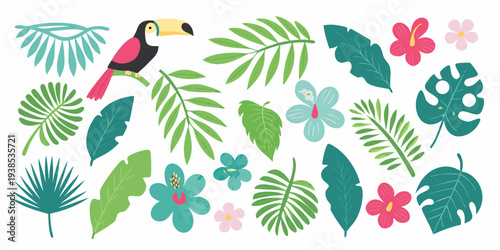 A colorful tropical illustration featuring a toucan and lush foliage