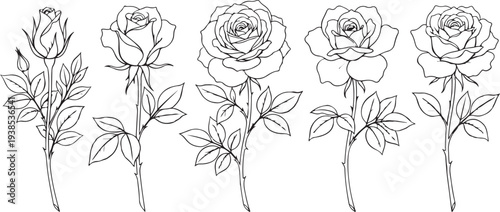 Hand drawn sketch illustration of a vintage floral bouquet with roses and tulips, leaves, buds and blossoms in black line art style
