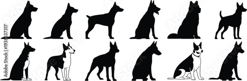 Black and white illustration of ten dog silhouettes in two rows, showing various poses and markings, symbolizing pets, animals, breeds, and canine concept design