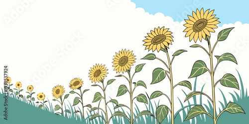 A vibrant field of sunflowers stretching towards the sky under a clear blue sky Vector