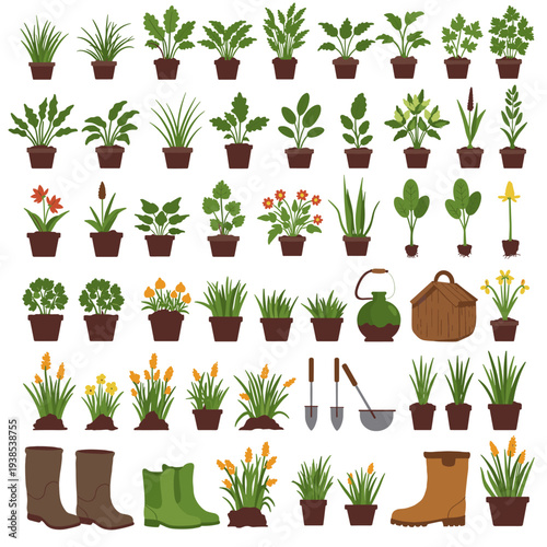 A large collection of diverse potted plants, gardening tools, and accessories, including green foliage, blooming flowers, rubber boots, and essential equipment.