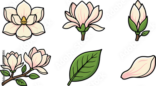 Flat design magnolia sticker sheet with six cream pink blossom elements including bud branch leaf petal on white background