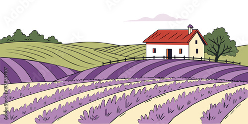 A picturesque lavender field with a quaint house in the distance under a clear blue sky Vector
