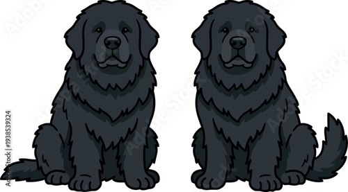 Flat design vector art two sitting black newfoundland dogs facing camera full body symmetrical fluffy coat white background smiling friendly mood