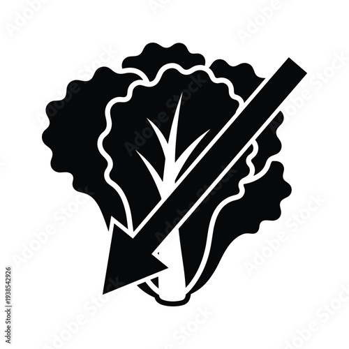 Minimalist Lettuce Illustration with Downward Arrow for Food Price and Market Trends