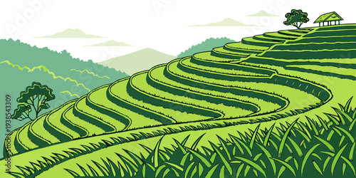 A serene landscape of green rice terraces on a hillside Vector