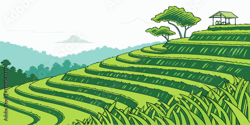 A serene landscape of green terraced fields with trees on a hill Vector