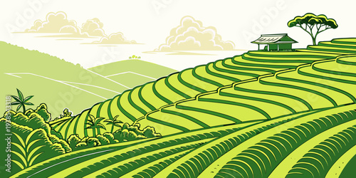 A serene green tea plantation landscape Vector