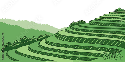 A green hillside with a series of terraced fields Vector