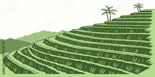 A green tea plantation on a hillside with palm trees Vector