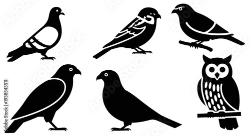 Silhouettes of Various Birds Set: Pigeon, Sparrow, Crow, and Owl Vector Icons