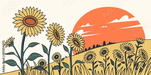 A field of sunflowers at sunset Vector
